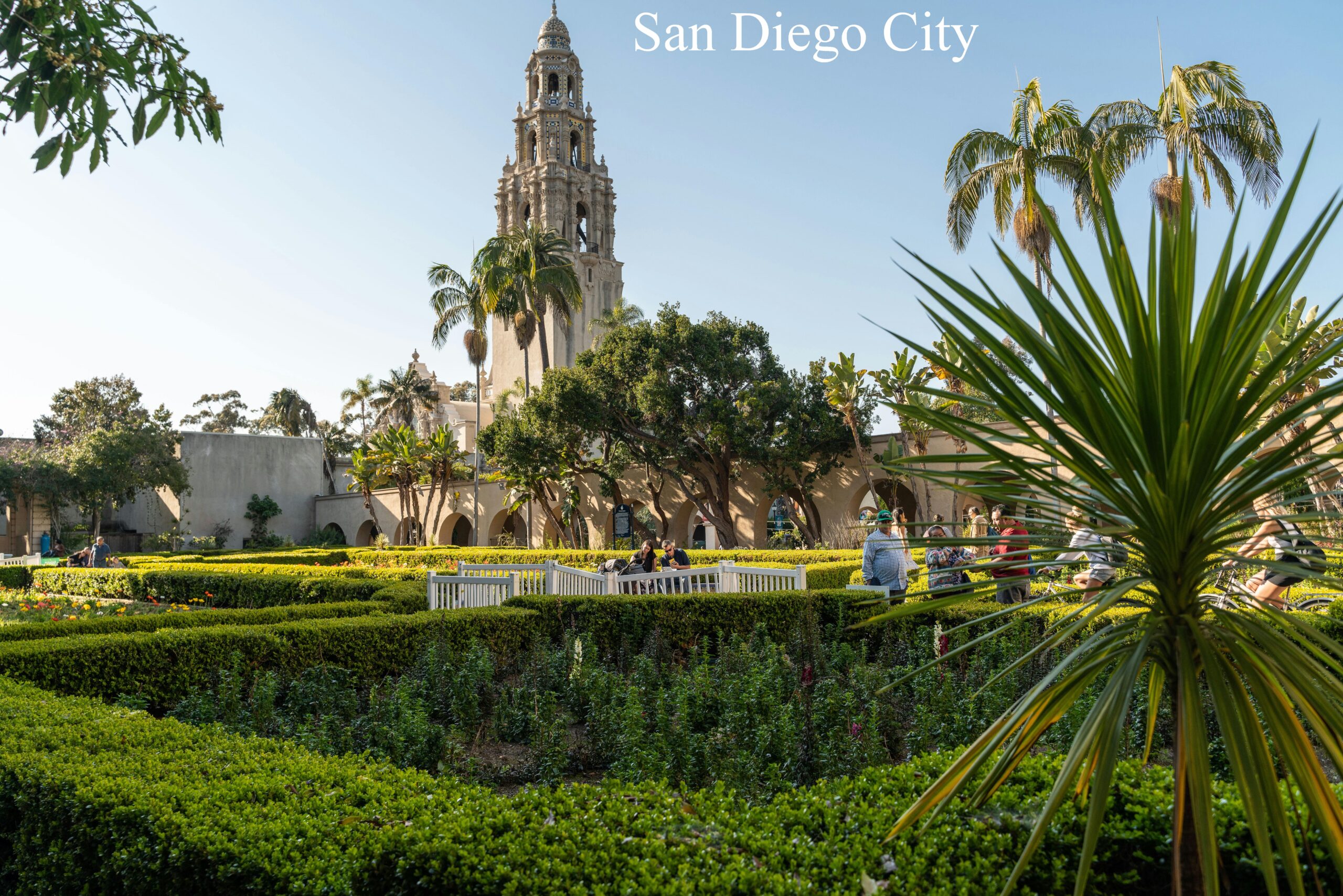 San Diago city Tour